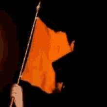 sanghi sevabharati manavaseva maadhavaseva lokahitam