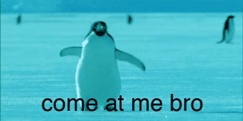 penguin-come-at-me-bro.gif