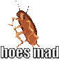 Reknoh T Hoes Mad Sticker - Reknoh T Hoes Mad Insect Stickers