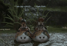 fatcat fatcat