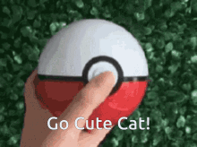 pokemon go cute cat cat poke ball kitten
