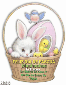 Pascua Conejo GIF - Pascua Conejo Happy Easter GIFs