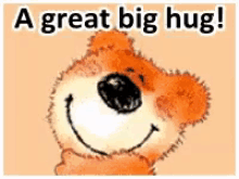 Hug Bear GIF - Hug Bear Big GIFs