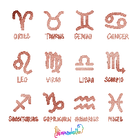 Zodiac Signs Horoscope Sticker - Zodiac Signs Horoscope Shimmerdoodles Stickers