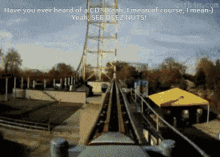 Roller Coaster Cedar Point GIF - Roller Coaster Cedar Point Meme GIFs