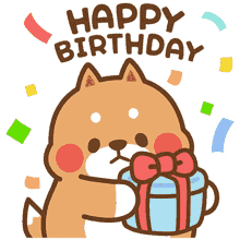 happy birthday kitten dog gift