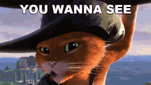 You Wanna See Something Cool Puss GIF - You Wanna See Something Cool Puss Puss In Boots The Last Wish GIFs