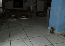 Cat Sneak Attack Gifs Tenor