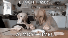 Lunch T Ime Almost Time GIF - Lunch T Ime Almost Time Eat GIFs