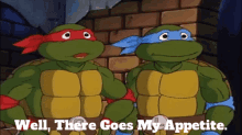 Tmnt Raphael GIF - Tmnt Raphael Well There Goes My Appetite GIFs