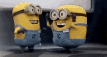 minions laughing happy lol