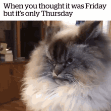 Thursday Friday GIF - Thursday Friday Funny GIFs