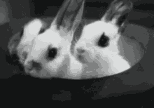 testing