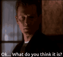 Doggett X Files Sigh What Do You Think GIF - Doggett X Files Sigh What Do You Think GIFs