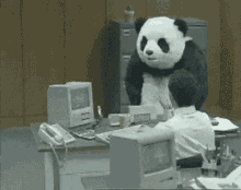 Panda Angry GIF - Panda Angry Triggered GIFs