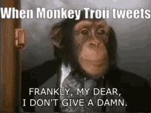 Monkey Troii Monkey Troll GIF - Monkey Troii Monkey Troll GIFs