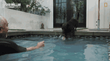 Come Swim Cesar Millan GIF - Come Swim Cesar Millan Cesar Millan Better Human Better Dog GIFs