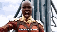 Okoye Wakanda Forever GIF - Okoye Wakanda Forever Black Panther GIFs