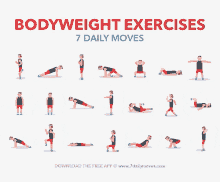 Weight Exercise Gym GIF - Weight Exercise Gym Workout GIFs