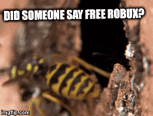 Robux Roblox GIF - Robux Roblox Wasp GIFs