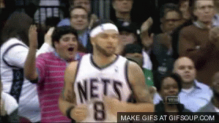 excited-nets.gif