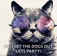 Lets Party Smile GIF - Lets Party Smile Cat GIFs