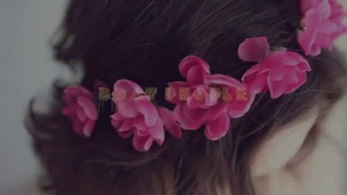 Floral Crown GIF - Summer Flower Hair GIFs