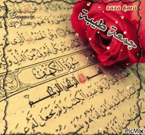 قران القرآن الكريم