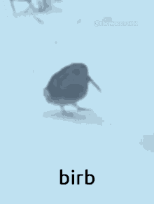Bird Dancing Birb GIF - Bird Dancing Birb GIFs