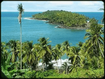 Cayenne Guiana::PLAN & MAP & COUNTRY 