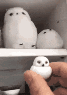Owl Wtf GIF - Owl Wtf Offended GIFs
