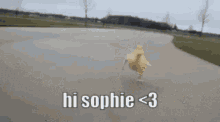 Hi Sophie Heart GIF - Hi Sophie Sophie Hi GIFs