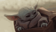 Baby Yoda The Mandalorian GIF - Baby Yoda The Mandalorian Star Wars GIFs
