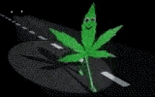 Marijuana 420 GIF - Marijuana 420 Happy GIFs