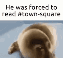 Everneth He Was Forced To Read Town Square GIF - Everneth He Was Forced To Read Town Square Sad Seal GIFs