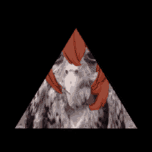 diluc wet owl owl genshin funny diluc wet owl owl genshin funny
