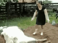 Cow Kick GIF - Cow Kick Funny GIFs