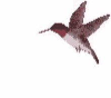 Flying Humming Bird GIF - Flying Humming Bird Pixel Art GIFs