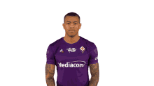 fiorentina acf