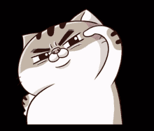 Ami Fat Cat Fgcat GIF - Ami Fat Cat Fgcat Salute GIFs