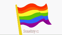 snaekzy pride love gay flag flag