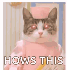 Cat Laser Eyes GIF - Cat Laser Eyes Hows This GIFs