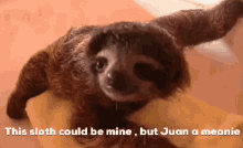 Juan Juann GIF - Juan Juann Juannn GIFs