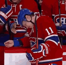 Montreal Canadiens Brendan Gallagher GIF - Montreal Canadiens Brendan Gallagher No Goal GIFs