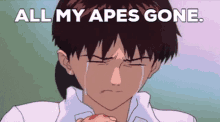 Shinji Apes GIF - Shinji Apes Nft GIFs