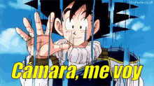 Goku Teletransportandose GIF - Camara Adios Me Voy GIFs