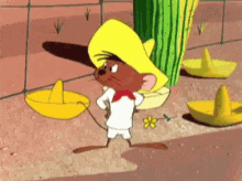 Speedy Gonzales Sombrero GIF - Speedy Gonzales Looney Tunes Happy GIFs
