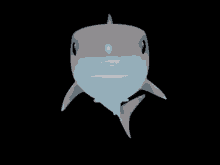 shark shark