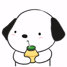 cute adorable dog korea korean cute adorable dog korea korean