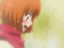 bleach orihime
